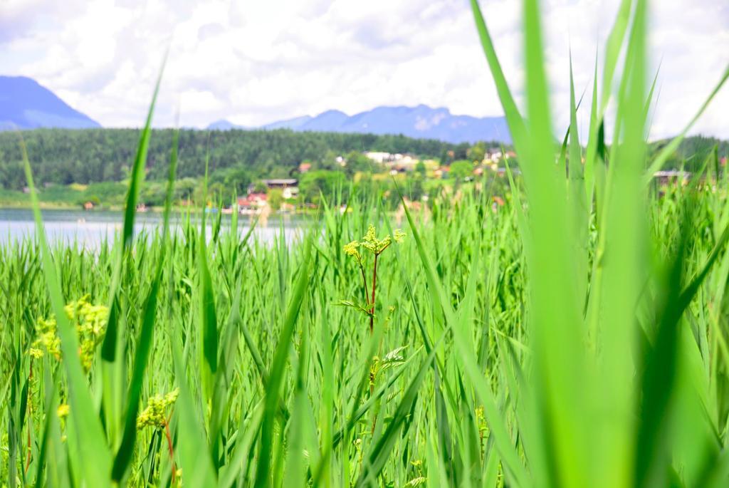 Apart Of Me Ferienhaus Faaker See Villach Zewnętrze zdjęcie